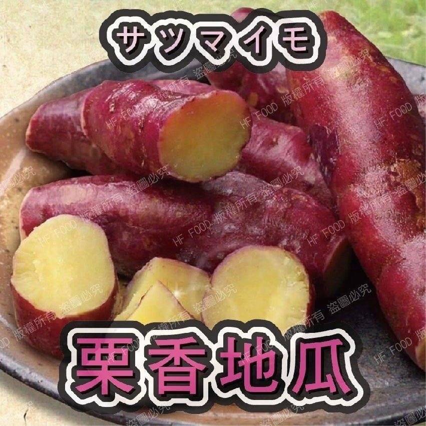 🔥栗香地瓜🔥